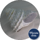 8834 - Pearl Undosa - Sea Washed